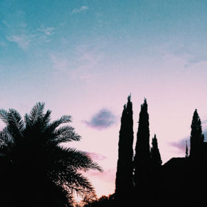 Meet your Posher, Maggie